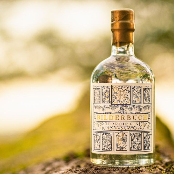 Bilderbuch Terroir Gin | Handcraftet Premium Gin von der Saar | Small Batch Gin | 42% | 0,5L