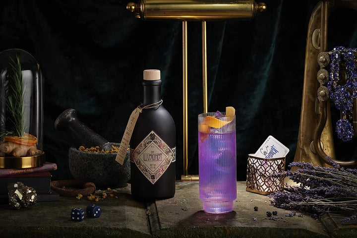 The Illusionist Dry Gin - 500ml + The Illusionist Distillery Gin & Tonic Glas (Erlenmeyerkolben), 250ml